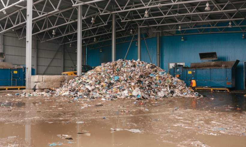 Ways to Tackle Plastics Damage for Companies, According to Experts