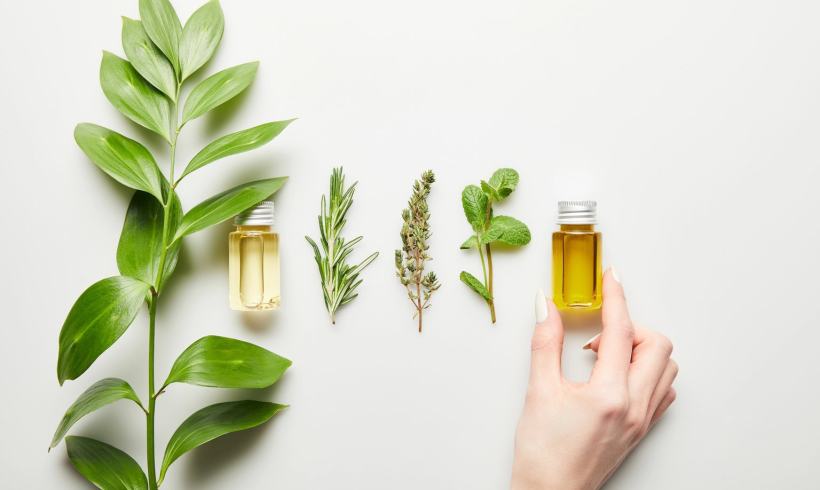 10 Herbs and Plants Rich in Essential Minerals for Detox, Skin, and Hair Health