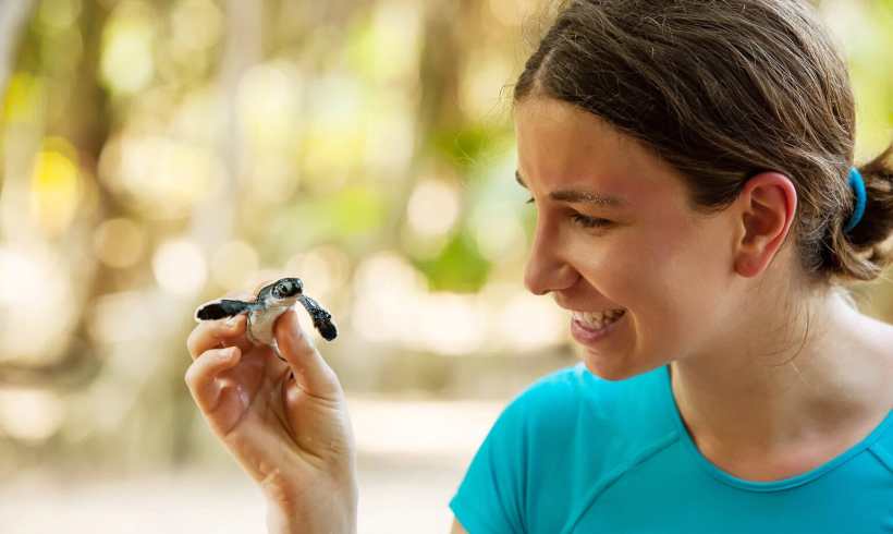 Funding Hope: How Animal Rescue Grants Are Saving Lives and Ecosystems Funding Hope: How Animal Rescue Grants Are Saving Lives and Ecosystems