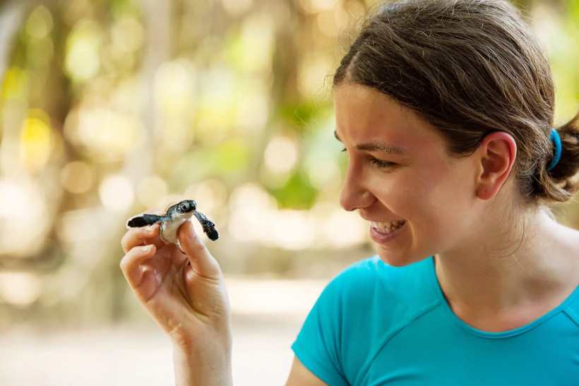 Funding Hope: How Animal Rescue Grants Are Saving Lives and Ecosystems Funding Hope: How Animal Rescue Grants Are Saving Lives and Ecosystems