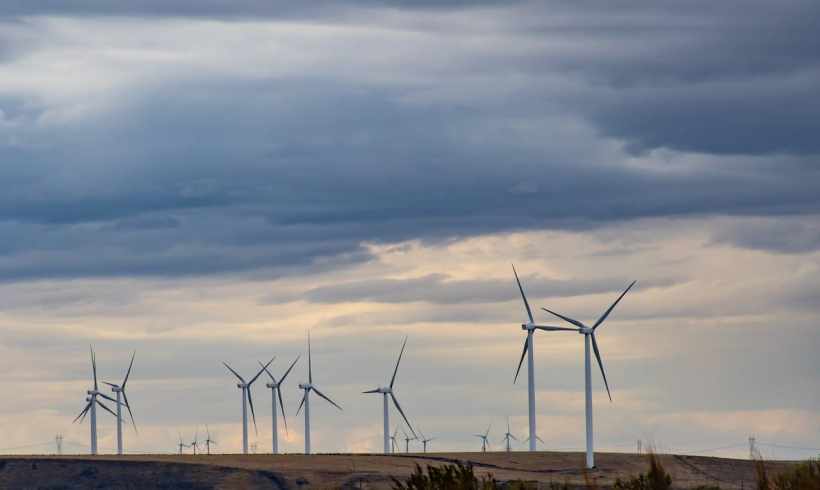 Eco-Friendly Waste Disposal Solutions for Richmond Residents