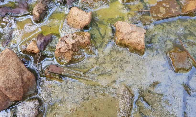 What is Leachate? What is Leachate?