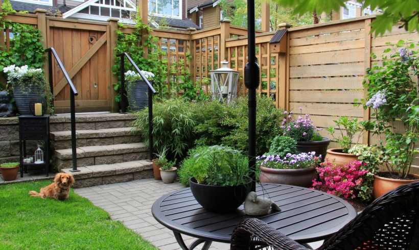 How to Stop Animals from Eating Your Plants How to Stop Animals from Eating Your Plants