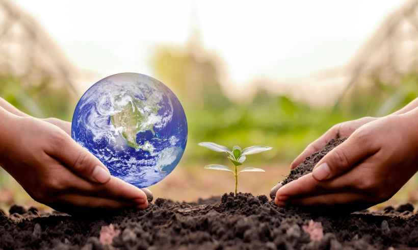 Why Local Conservation Efforts Matter in the Fight Against Climate Change Why Local Conservation Efforts Matter in the Fight Against Climate Change