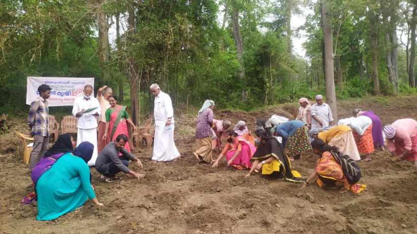 These Inspiring Women from Kerala Fight For Yams