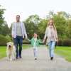 Eco-Friendly Dog Walking & Travel: Tips for Happy Pets, Greener Living