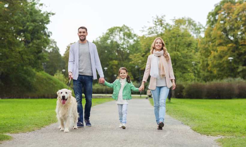 Eco-Friendly Dog Walking & Travel: Tips for Happy Pets, Greener Living