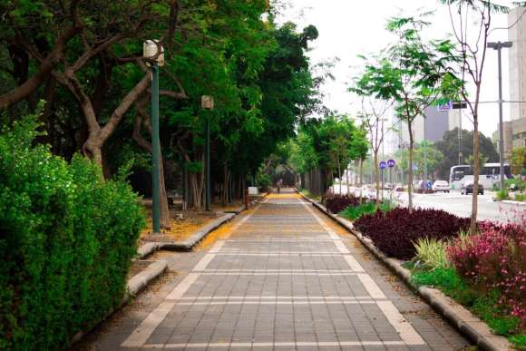 a walkway lined with trees and flowers next to a street
