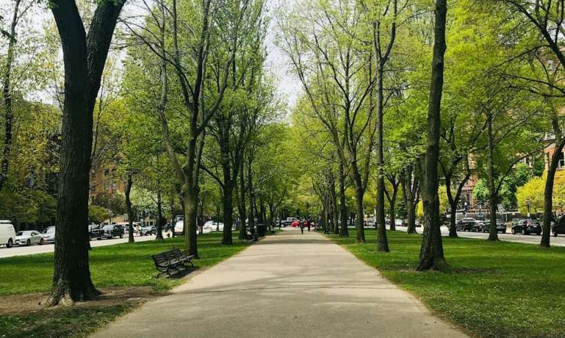 What Is Hardscaping, and Can It Be Sustainable? What Is Hardscaping, and Can It Be Sustainable?