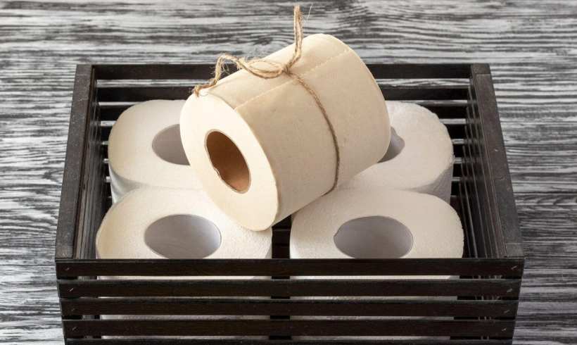 Top 3 Bamboo Toilet Rolls: Which Brand Truly Delivers?