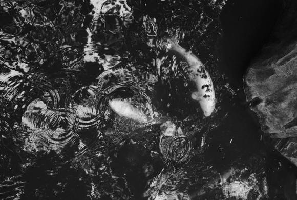 A black and white photo of a woman laying on the ground