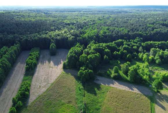 The Rewilding Movement: How Private Landowners Are Creating Wildlife Corridors The Rewilding Movement: How Private Landowners Are Creating Wildlife Corridors