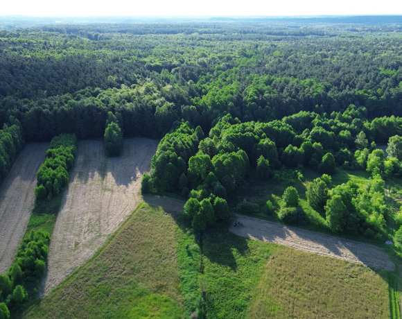 The Rewilding Movement: How Private Landowners Are Creating Wildlife Corridors