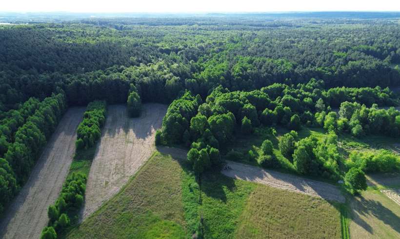 The Rewilding Movement: How Private Landowners Are Creating Wildlife Corridors