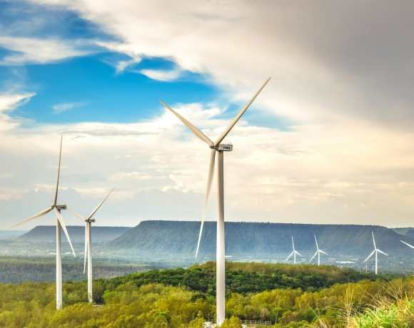 How GWO Certificates Contribute To A Greener Future How GWO Certificates Contribute To A Greener Future