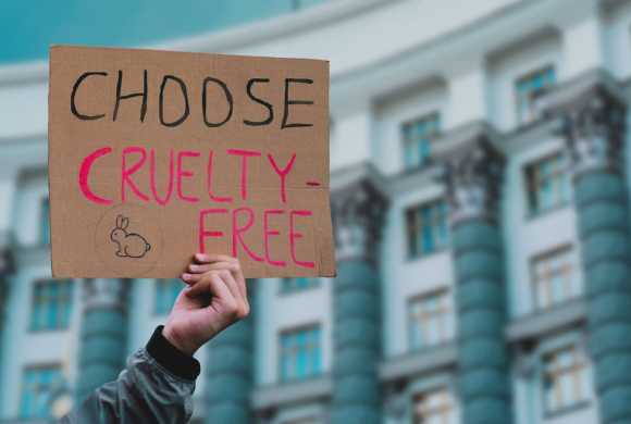 Ready to Support Animal Testing Reform? Here’s Where Your Donation Has the Most Impact