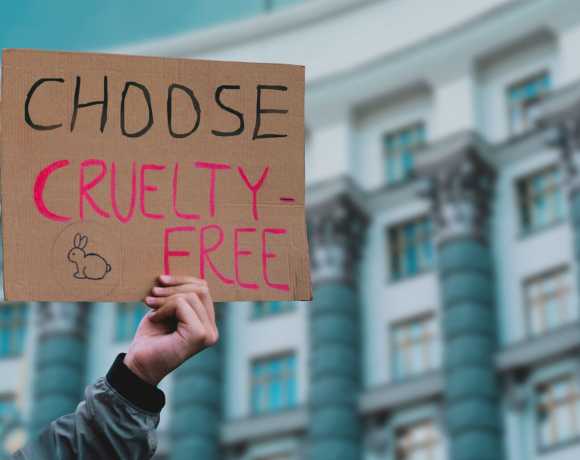 Ready to Support Animal Testing Reform? Here’s Where Your Donation Has the Most Impact