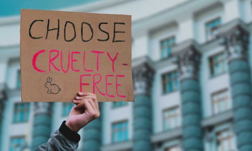 Ready to Support Animal Testing Reform? Here’s Where Your Donation Has the Most Impact