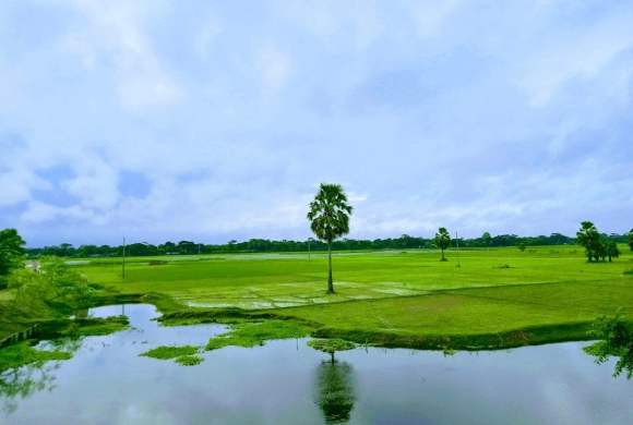 green grass field near lake under white clouds during daytime