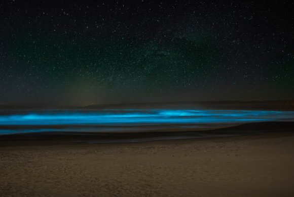 a beach at night with blue lights on the sand