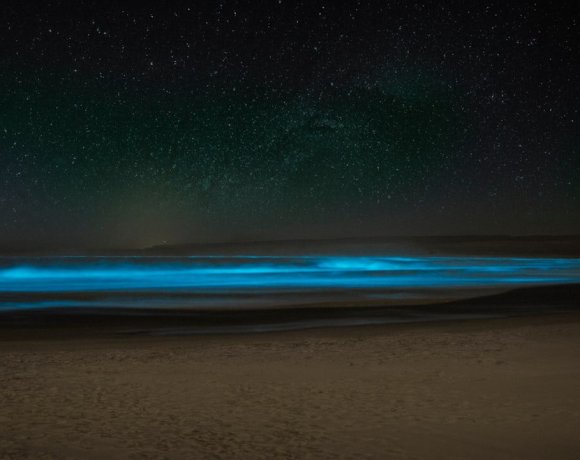 Bioluminescent Places Around the World Where the Ocean Glows at Night Bioluminescent Places Around the World Where the Ocean Glows at Night