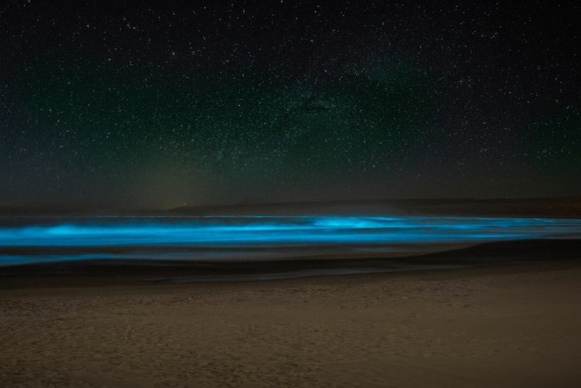 Bioluminescent Places Around the World Where the Ocean Glows at Night