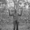 Another Man Who Brought A Lost Rainforest Back To Life