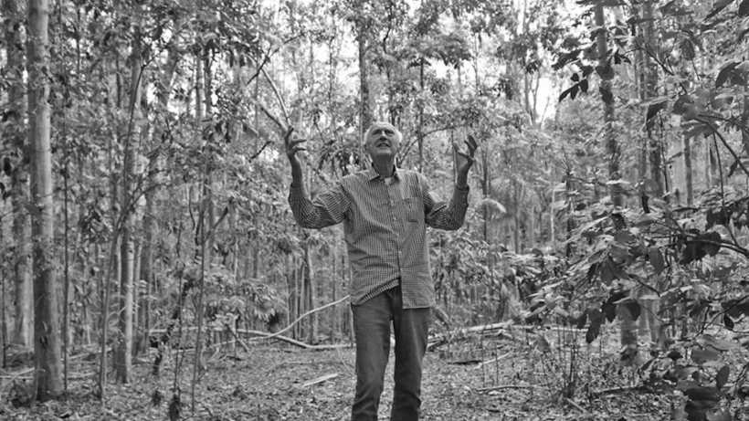 Another Man Who Brought A Lost Rainforest Back To Life Another Man Who Brought A Lost Rainforest Back To Life