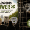 Grassroots Power: How Activist Coalitions Are Ending the Fur Industry One Campaign at a Time