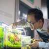 What Is the Best Place to Buy Live Aquatic Plants Online?