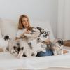 The Hidden Genetic Crisis Behind Designer Dogs: What Puppy Mills Don’t Tell You
