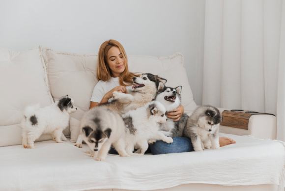 The Hidden Genetic Crisis Behind Designer Dogs: What Puppy Mills Don’t Tell You