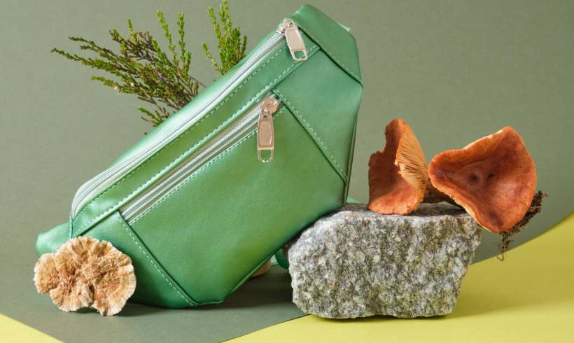 Could Mushrooms Be The Future Of Your Leather Jacket?