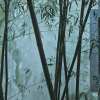 Should We Start Questioning Bamboo?