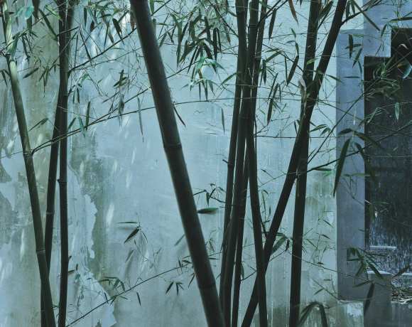 Should We Start Questioning Bamboo? Should We Start Questioning Bamboo?