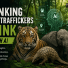 Thinking How Traffickers Think With AI