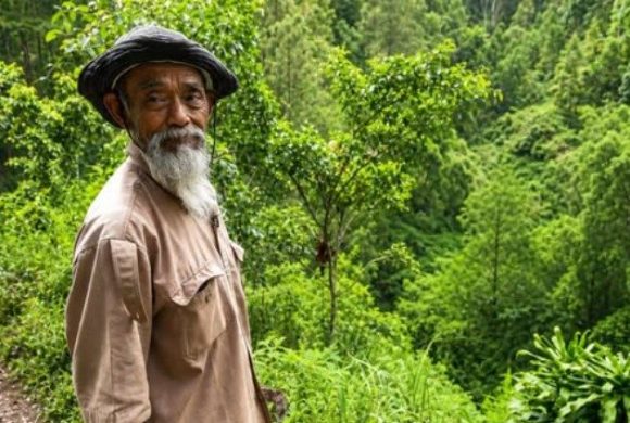 Sadiman, Eleven Thousand Trees, And A Village Saved