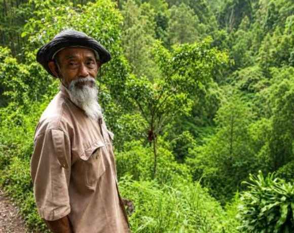 Sadiman, Eleven Thousand Trees, And A Village Saved
