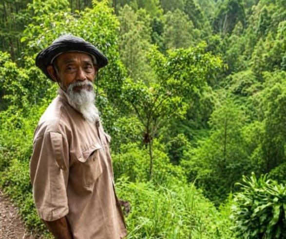 Sadiman, Eleven Thousand Trees, And A Village Saved Sadiman, Eleven Thousand Trees, And A Village Saved