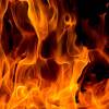What If We Stopped Burning All That Leftover Wood?