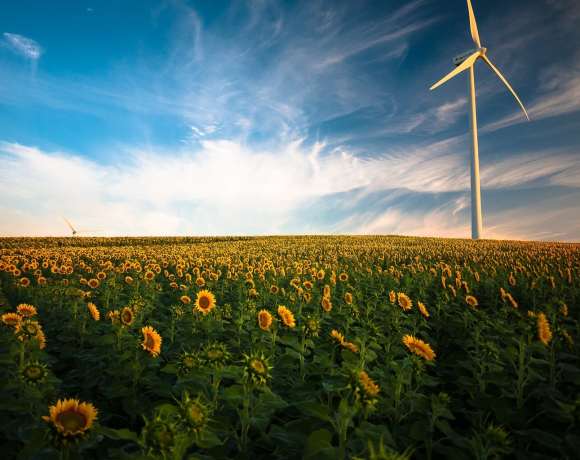 How Renewable Energy Can Help Create a More Sustainable Future