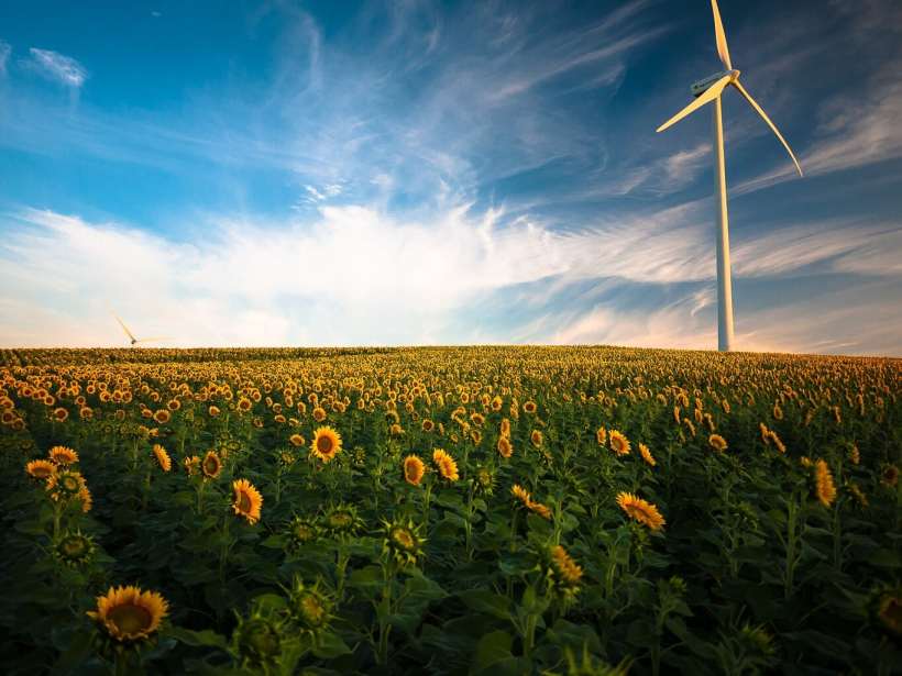 How Renewable Energy Can Help Create a More Sustainable Future