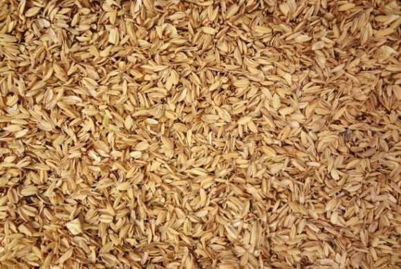 Why Rice Husks Might Just Save Our Environment