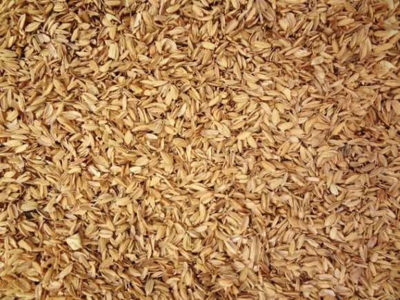 Why Rice Husks Might Just Save Our Environment
