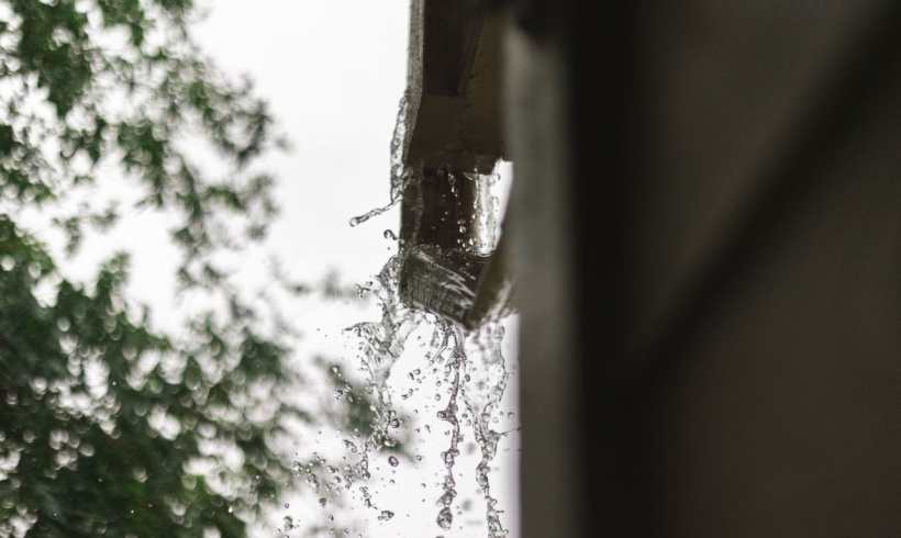 Where Does Your Roof Water Go? Eco-Friendly Ways to Handle Downspout Runoff