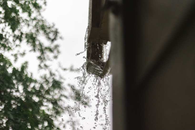 Where Does Your Roof Water Go? Eco-Friendly Ways to Handle Downspout Runoff Where Does Your Roof Water Go? Eco-Friendly Ways to Handle Downspout Runoff