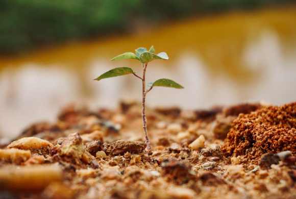 Communicating for Conservation: Reaching a Wider Audience